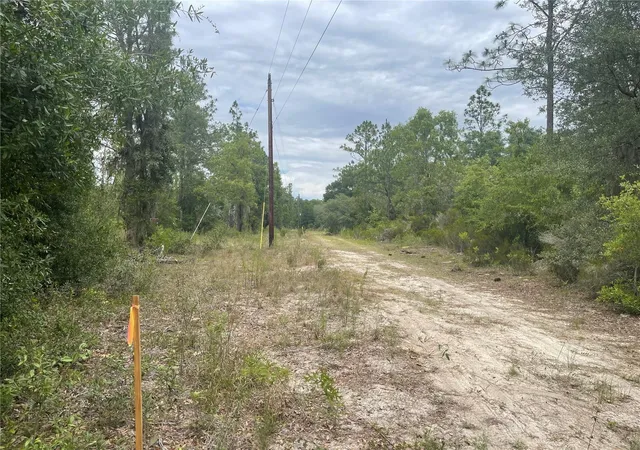 Homes for sale in Bronson, FL | 6624 Ne 96 Ave, Bronson, FL 32621 | MLS# O6421283