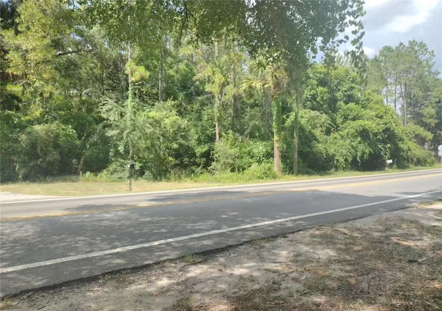 5th image of Se 80Th Street Street Se, Ocala, FL 34480 | MLS# OM727678