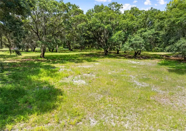Photo 4 of Land for sale at 0 Hickory Tree Rd Saint Cloud Fl #34772, Saint Cloud, FL 34772 | MLS# S5152801 | Listing updated on 2026-07-15