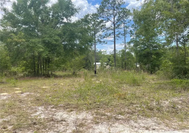 Homes for sale in Bronson, FL | 6628 Ne 96 Ave, Bronson, FL 32621 | MLS# O6421315