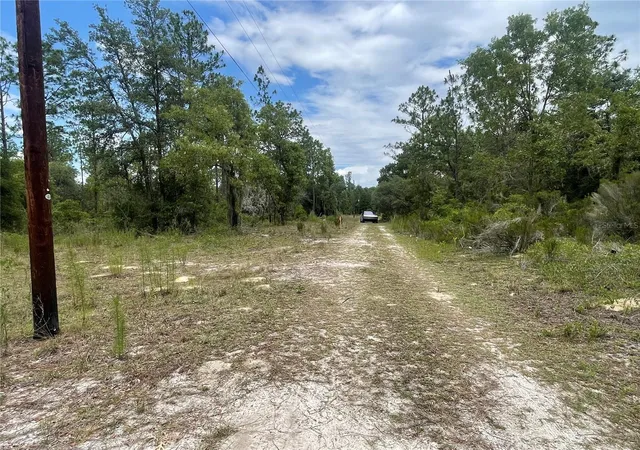 Homes for sale in Bronson, FL | 6628 Ne 96 Ave, Bronson, FL 32621 | MLS# O6421315