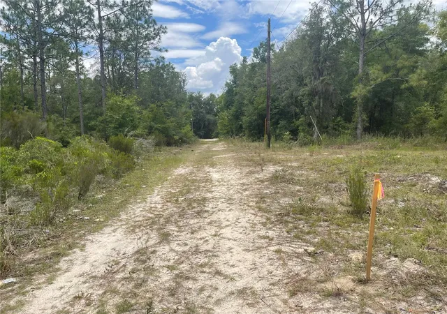 Homes for sale in Bronson, FL | 6628 Ne 96 Ave, Bronson, FL 32621 | MLS# O6421315