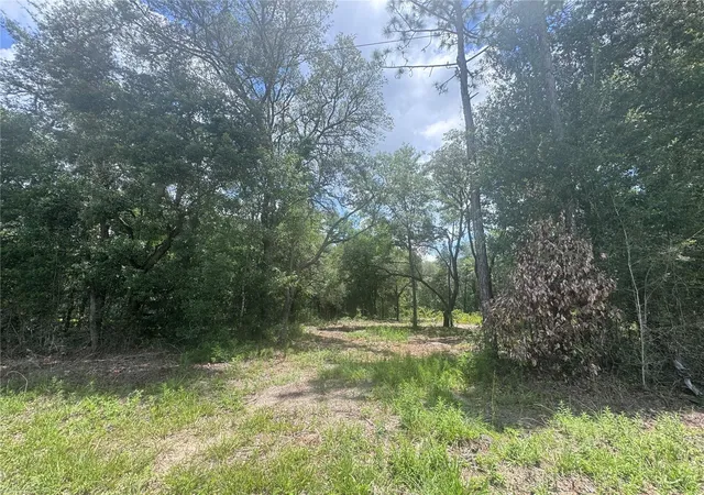 Photo 1 of Land for sale at 751 Ne 139th Avenue, Williston, FL 32696 | MLS# OM727697 | Listing updated on 2026-07-02
