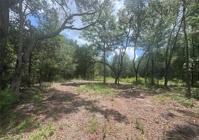 Photo 3 of Land for sale at 751 Ne 139th Avenue, Williston, FL 32696 | MLS# OM727697 | Listing updated on 2026-07-02