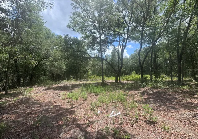 Photo 3 of Land for sale at 751 NE 139th Avenue, Williston, FL 32696 | MLS# OM727697 | Listing updated on 2026-07-02
