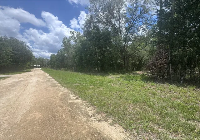 Photo 4 of Land for sale at 751 NE 139th Avenue, Williston, FL 32696 | MLS# OM727697 | Listing updated on 2026-07-02