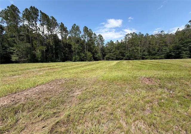6th image of Sw Windsor Ct, Lake City, FL 32024 | MLS# GC541604