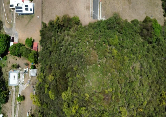 Photo 3 of Land for sale at Road 857 El Faro Km 50 Las Cabezas Ward, Fajardo, PR 00738 | MLS# PR9122469 | Listing updated on 2026-09-05