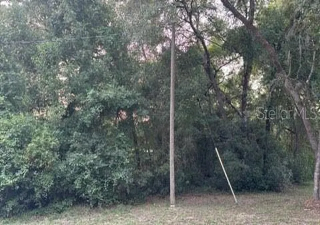 Photo 1 of Land for sale at Se 11th Street, Silver Springs, FL 34488 | MLS# O6421397 | Listing updated on 2026-07-19