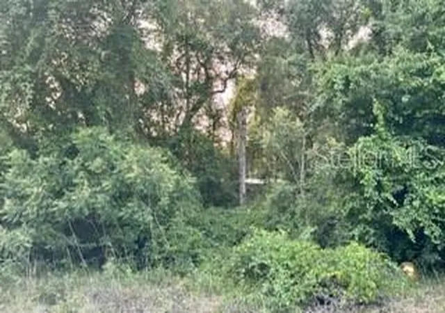 Photo 2 of Land for sale at Se 11th Street, Silver Springs, FL 34488 | MLS# O6421397 | Listing updated on 2026-07-19