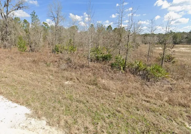 Homes for sale in Weeki Wachee, FL | Courlan Rd, Weeki Wachee, FL 34614 | MLS# W7887247