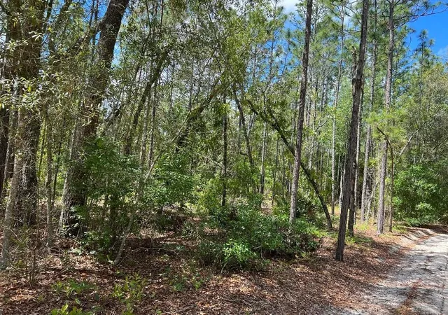2nd image of 5813 Lady Bug Ln, Melrose, FL 32666 | MLS# A4698672