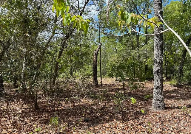 3rd image of 5813 Lady Bug Ln, Melrose, FL 32666 | MLS# A4698672