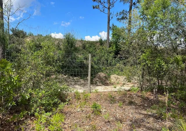 5th image of 5813 Lady Bug Ln, Melrose, FL 32666 | MLS# A4698672