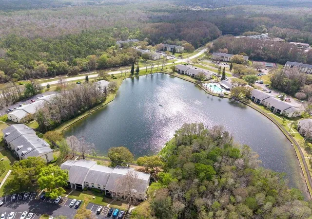 3rd image of 3101 Lake Pine Wy, Tarpon Springs, FL 34688
