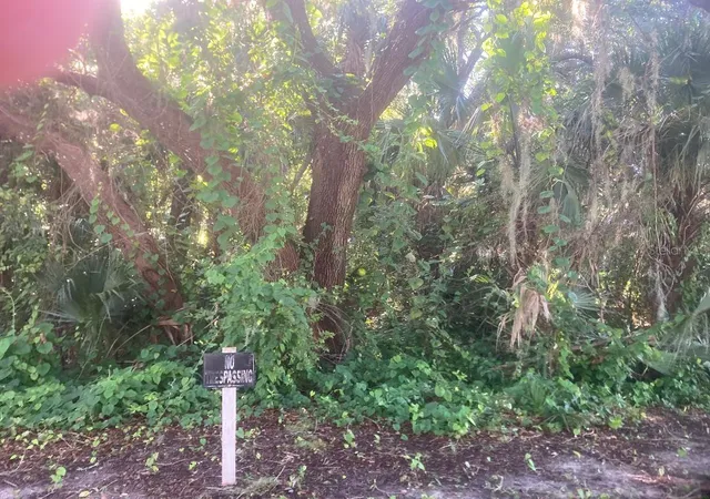Homes for sale in Oak Hill, FL | 0 Nancy St, Oak Hill, FL 32759 | MLS# NS1088627