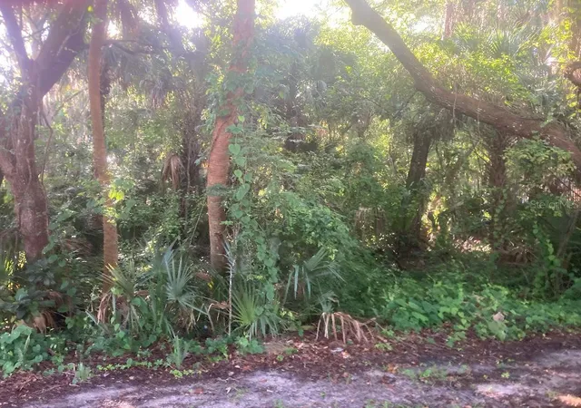 Homes for sale in Oak Hill, FL | 0 Nancy St, Oak Hill, FL 32759 | MLS# NS1088627