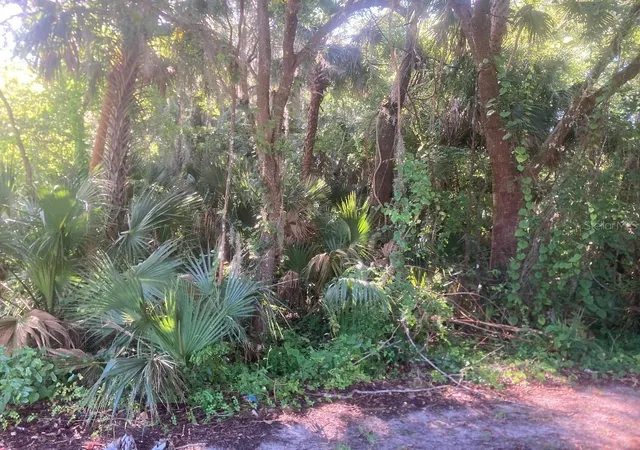 Homes for sale in Oak Hill, FL | 0 Nancy St, Oak Hill, FL 32759 | MLS# NS1088627