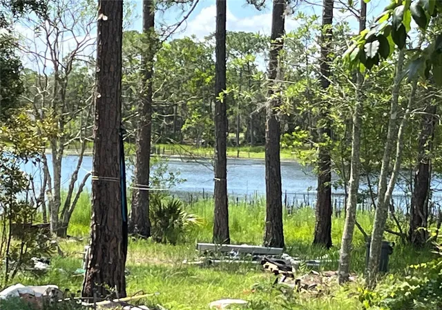 1st image of 42334 W Lake Rd, Deland, FL 32720 | MLS# NS1088628