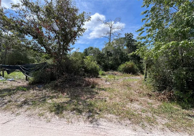 6th image of 42334 W Lake Rd, Deland, FL 32720 | MLS# NS1088628