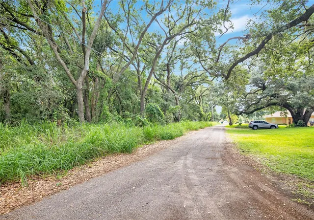 Photo 3 of Land for sale at Avalon Rd #53, Winter Garden, FL 34787 | MLS# O6421486 | Listing updated on 2026-07-15
