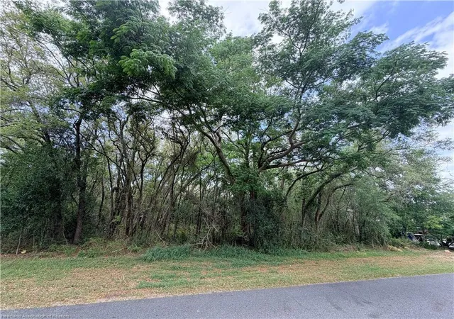 1st image of 1727 N Berkley Rd, Avon Park, FL 33825 | MLS# P4939206
