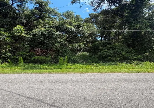 2nd image of 0000 Nw 166th St, Trenton, FL 32693 | MLS# GC541621