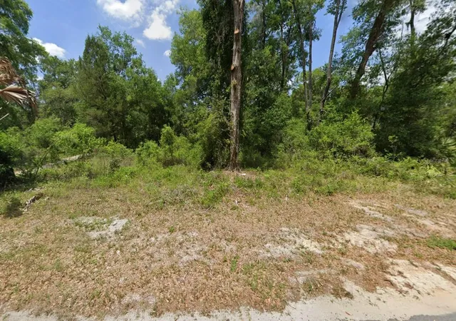 Homes for sale in Bushnell, FL | 9111 Cr 622, Bushnell, FL 33513 | MLS# A4698729