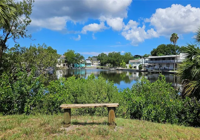 29th image of 4805 Alt 19 #114, Palm Harbor, FL 34683 | MLS# TB8525144
