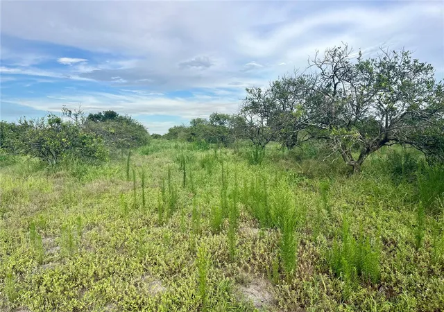 Homes for sale in Wauchula, FL | Hayman Rd, Wauchula, FL 33873 | MLS# L4963209