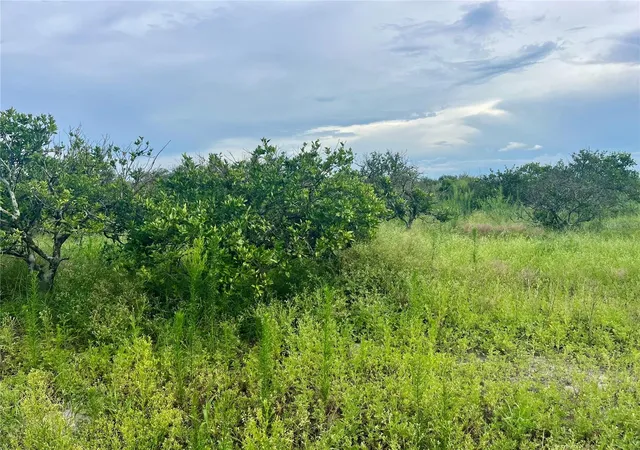 Homes for sale in Wauchula, FL | Hayman Rd, Wauchula, FL 33873 | MLS# L4963209