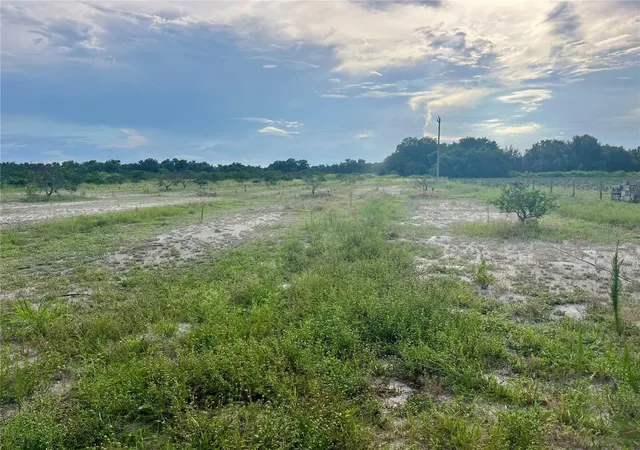 Homes for sale in Wauchula, FL | Hayman Rd, Wauchula, FL 33873 | MLS# L4963209
