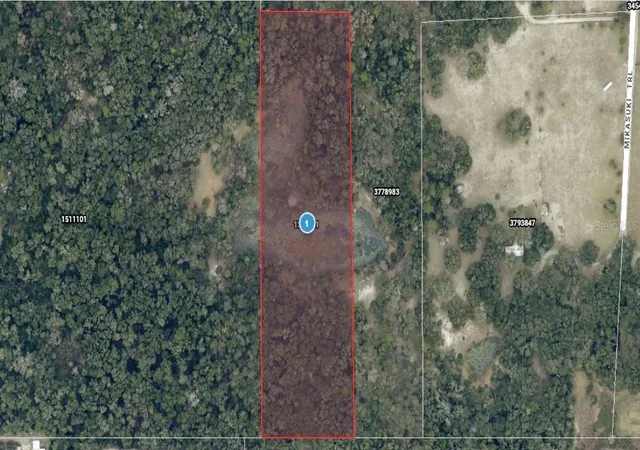 Homes for sale in Paisley, FL | Mikasuki Trl, Paisley, FL 32767 | MLS# A4698757