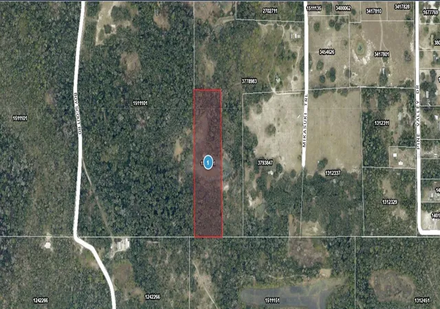 Homes for sale in Paisley, FL | Mikasuki Trl, Paisley, FL 32767 | MLS# A4698757