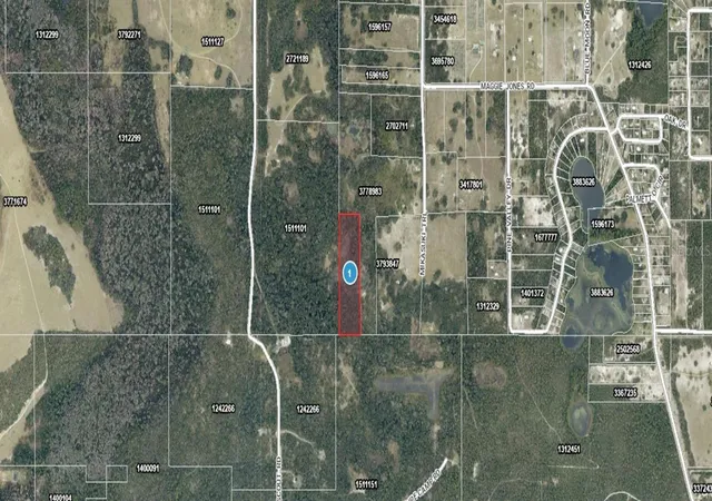 Homes for sale in Paisley, FL | Mikasuki Trl, Paisley, FL 32767 | MLS# A4698757