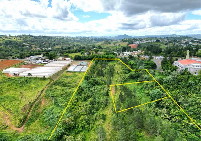 Photo 14 of Land for sale at 779 St Quebradillas, Barranquitas, PR 00794 | MLS# PR9122488 | Listing updated on 2026-07-02