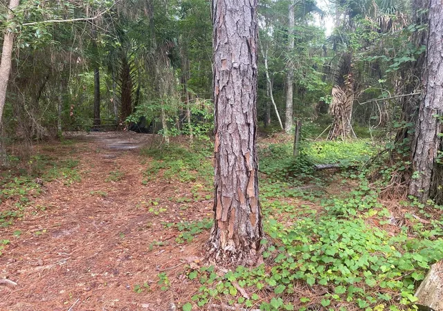 1st image of 709 Georgetown Denver Rd, Crescent City, FL 32112 | MLS# P4939217
