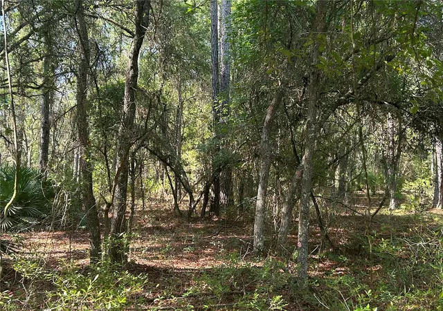 2nd image of 709 Georgetown Denver Rd, Crescent City, FL 32112 | MLS# P4939217