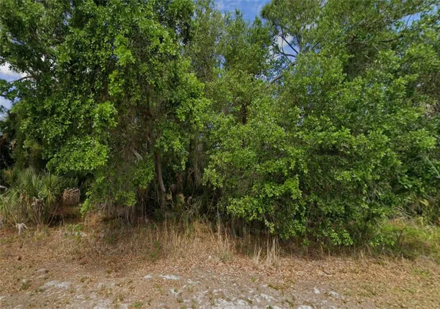 Photo 3 of Land for sale at 1367 Eppinger Dr, Port Charlotte, FL 33953 | MLS# D6147963 | Listing updated on 2026-09-02