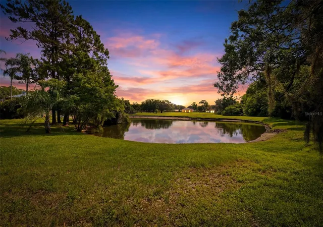 4th image of 14801 Perriwinkle Pl, Tampa, FL 33625 | MLS# TB8525379