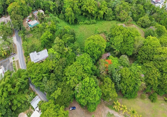 Photo 3 of Land for sale at Pr 176 Km66 Cupey Alto, San Juan, PR 00926 | MLS# PR9122499 | Listing updated on 2026-08-03