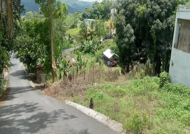 Photo 1 of Land for sale at Carr 435 Comunidad Perchas Ii Calle Zafiro, San Sebastian, PR 00685 | MLS# PR9122501 | Listing updated on 2026-07-03