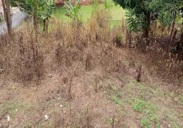 Photo 3 of Land for sale at Carr 435 Comunidad Perchas Ii Calle Zafiro, San Sebastian, PR 00685 | MLS# PR9122501 | Listing updated on 2026-07-03