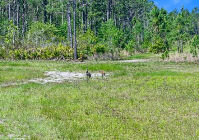 5th image of 0 Carter St, Bunnell, FL 32110 | MLS# FC319687