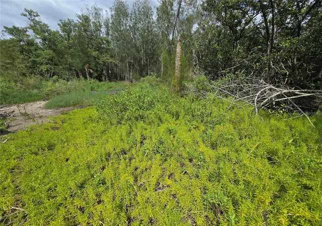 Photo 28 of Land for sale at Main St, New Port Richey, FL 34652 | MLS# OM727815 | Listing updated on 2026-08-26