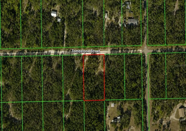 Homes for sale in Webster, FL | 33240 Tombstone St, Webster, FL 33597 | MLS# W7887300