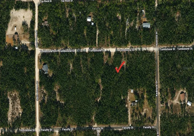 Homes for sale in Webster, FL | 33240 Tombstone St, Webster, FL 33597 | MLS# W7887300