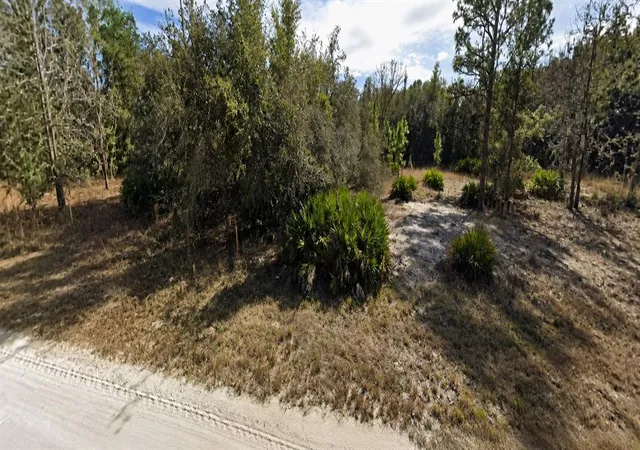 Homes for sale in Webster, FL | 33240 Tombstone St, Webster, FL 33597 | MLS# W7887300