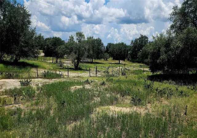 3rd image of 562 Libby Rd, Babson Park, FL 33827 | MLS# P4939223