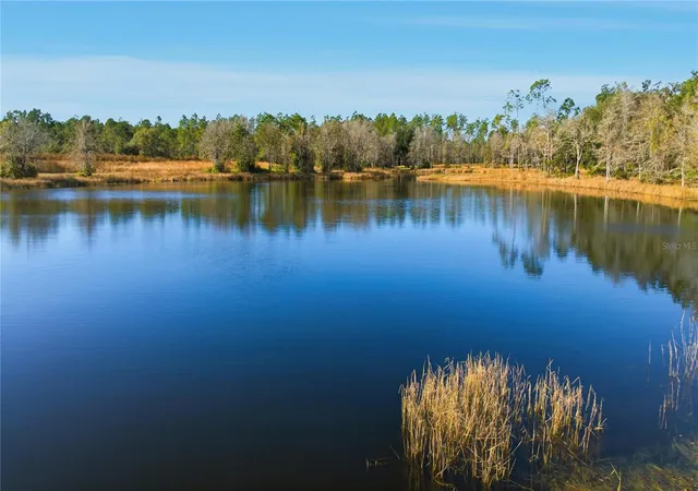 Photo 2 of Land for sale at Tbd Ne (lot 2) 115th Ln Rd, Fort Mc Coy, FL 32134 | MLS# OM727823 | Listing updated on 2026-08-11